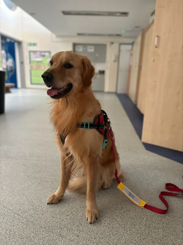 Gallery - created at 2024-07-03 09:02:28 - image 1