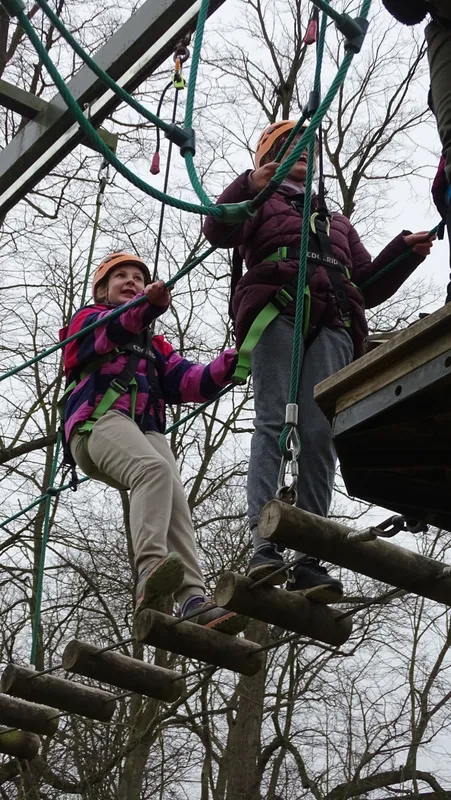 Robinwood 2026 - image 15