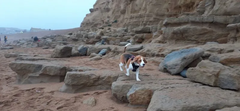 Our School - Bella 3 - image 2