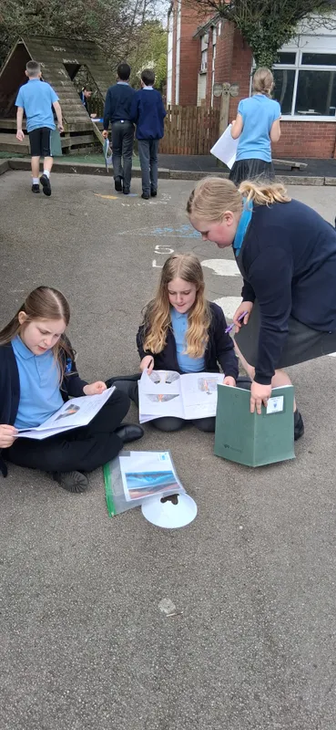 y6 active learning - image 4