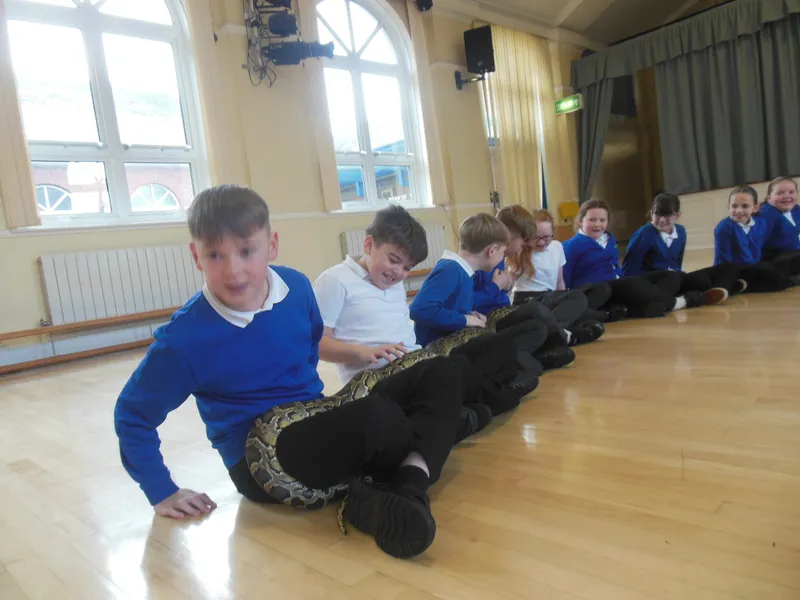 Y6 Reptile Rendezvous - image 2