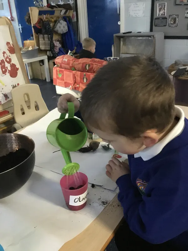 Nursery planting  - image 1