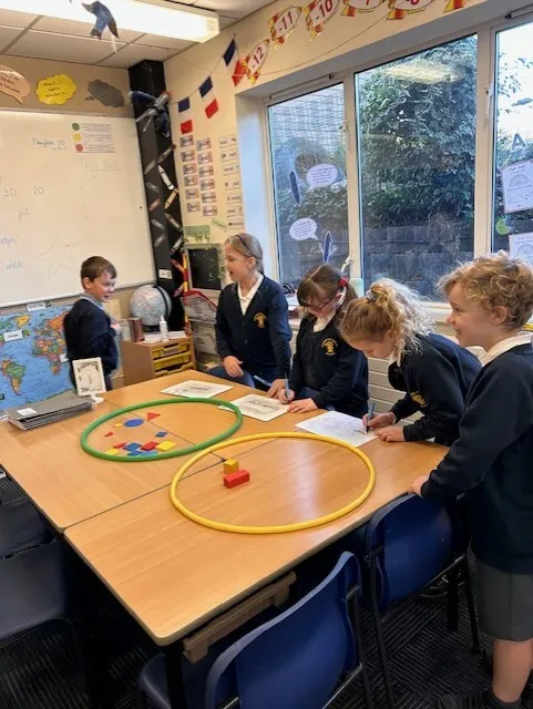 Swallows sorting 2D and 3D shapes in a variety of ways - image 1 Swallows sorting 2D and 3D shapes in a variety of ways - image 1