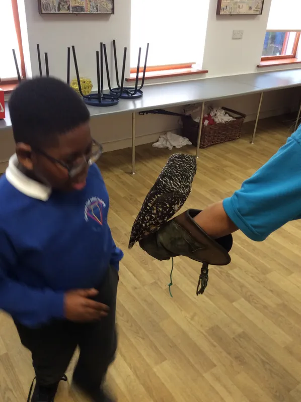 Gallery - created at 2024-02-26 17:15:57 - image 64 Gallery - created at 2024-02-26 17:15:57 - image 64