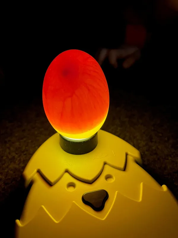 Gallery - created at 2023-04-21 11:21:21 - image 2