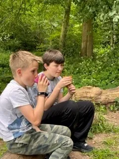 Gallery - created at 2023-06-27 16:41:06 - image 9