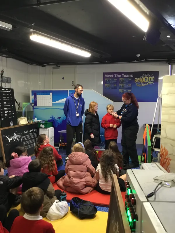 Year 5 Sealife Centre  - image 31