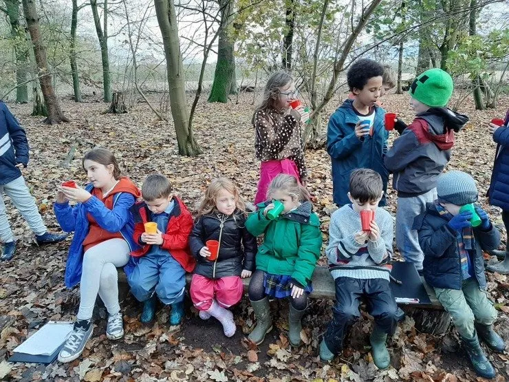 Gallery 7 - image 38