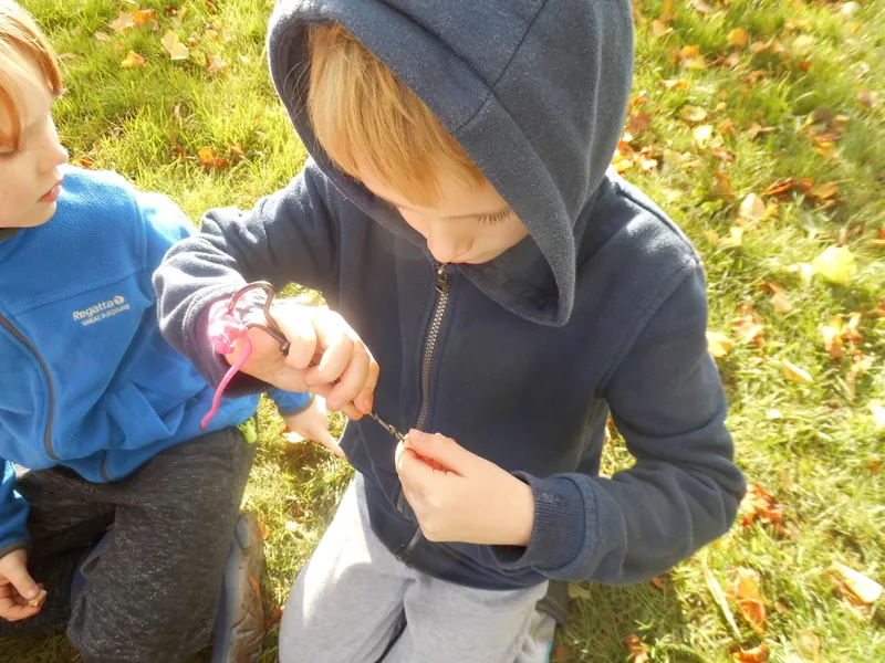 Gallery - created at 2019-10-24 13:31:11 - image 7 Gallery - created at 2019-10-24 13:31:11 - image 7