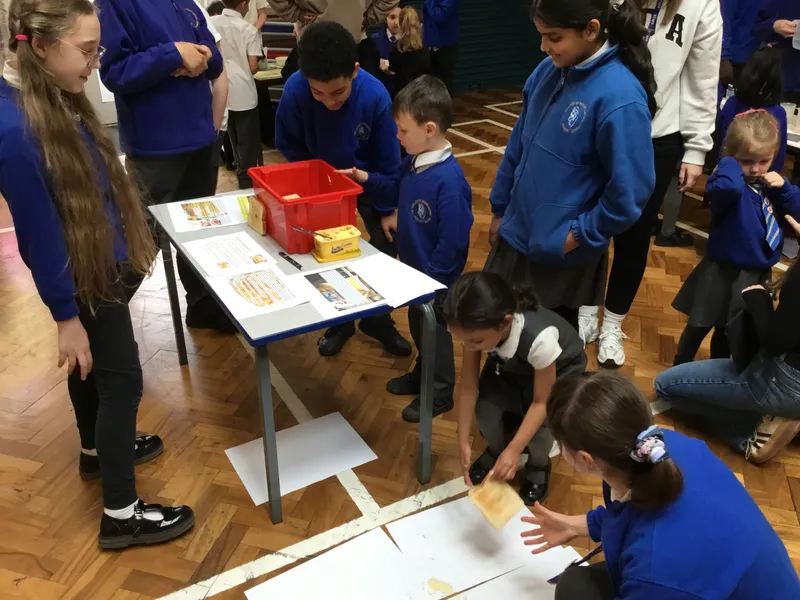 British Science Week - image 10