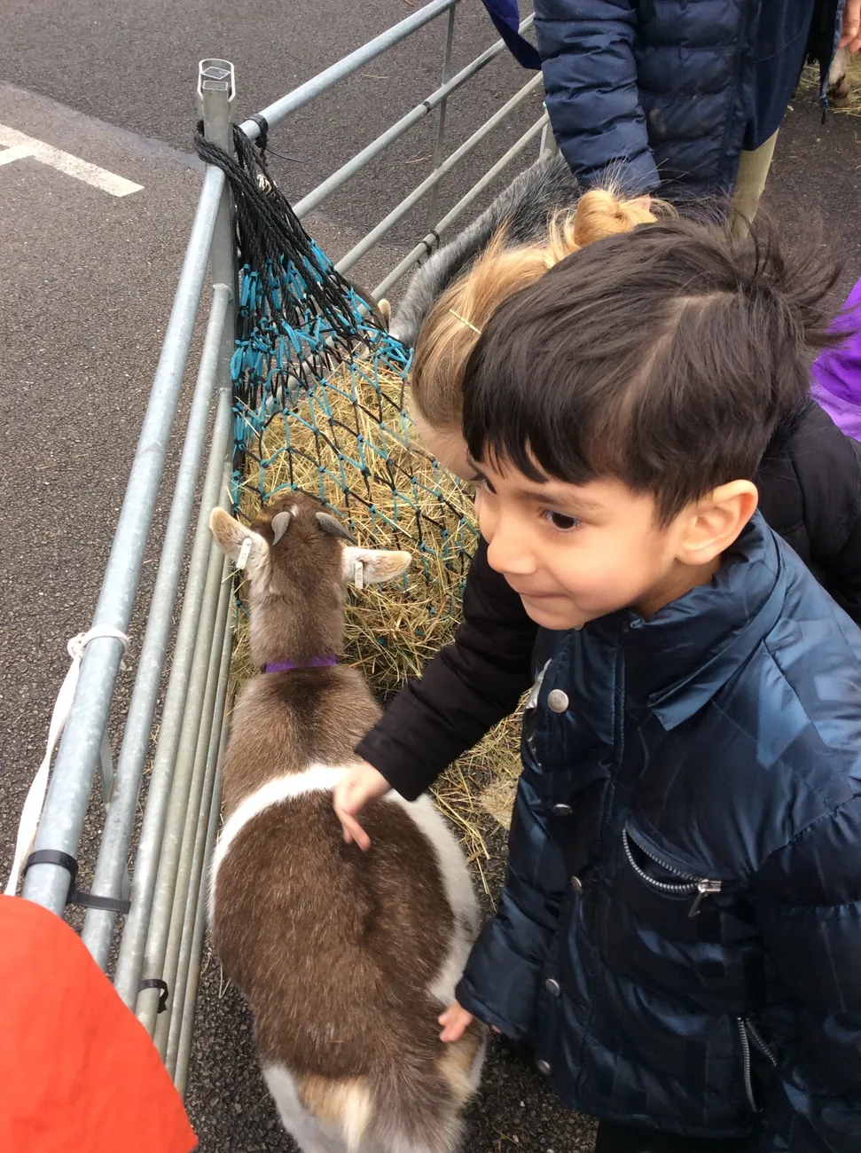 Gallery - created at 2023-03-03 16:33:51 - image 3