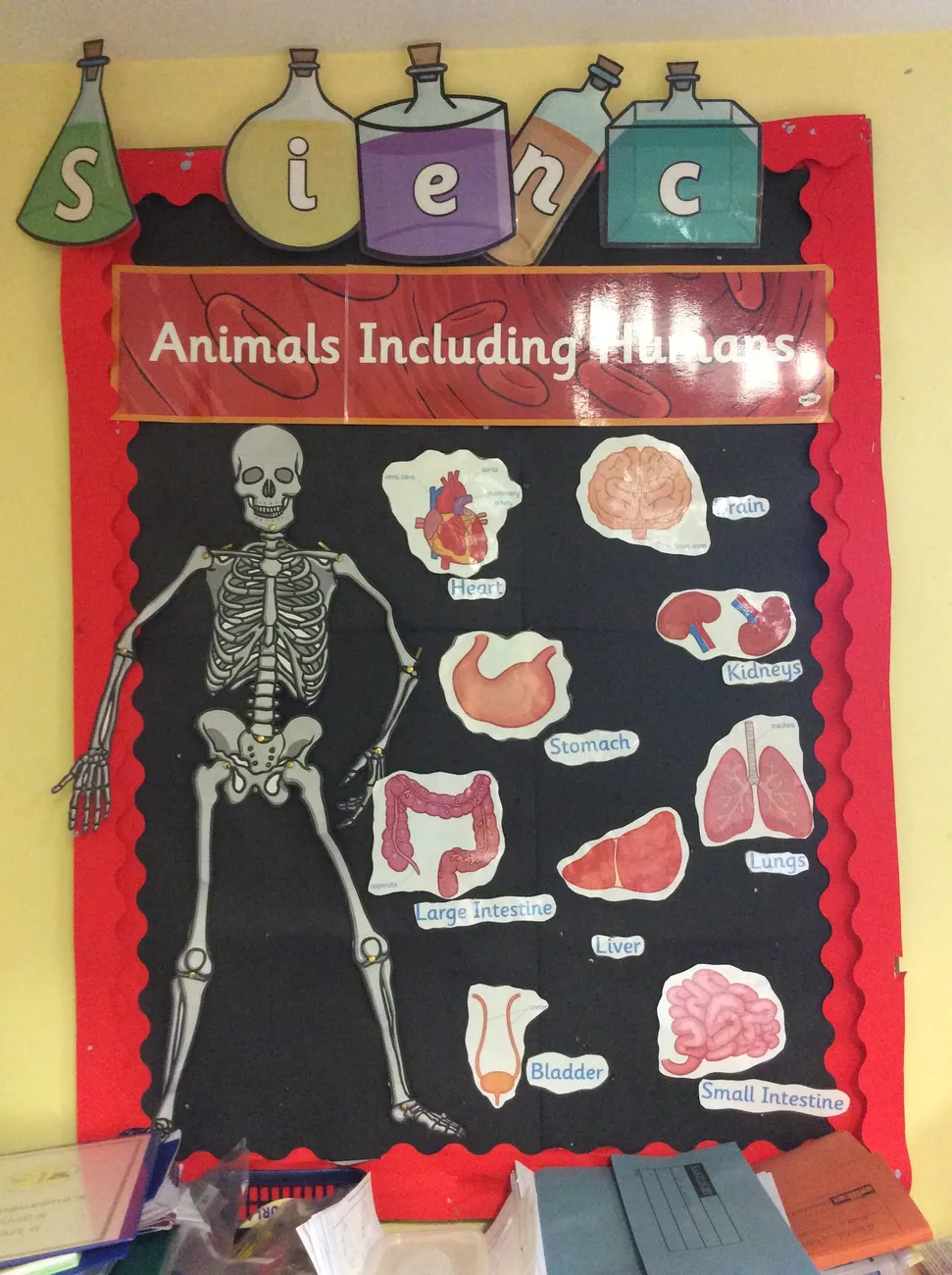 Gallery - created at 2020-04-23 11:54:25 - image 12