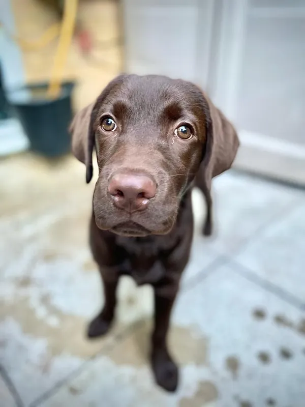 Gallery - created at 2021-06-30 13:57:57 - image 31