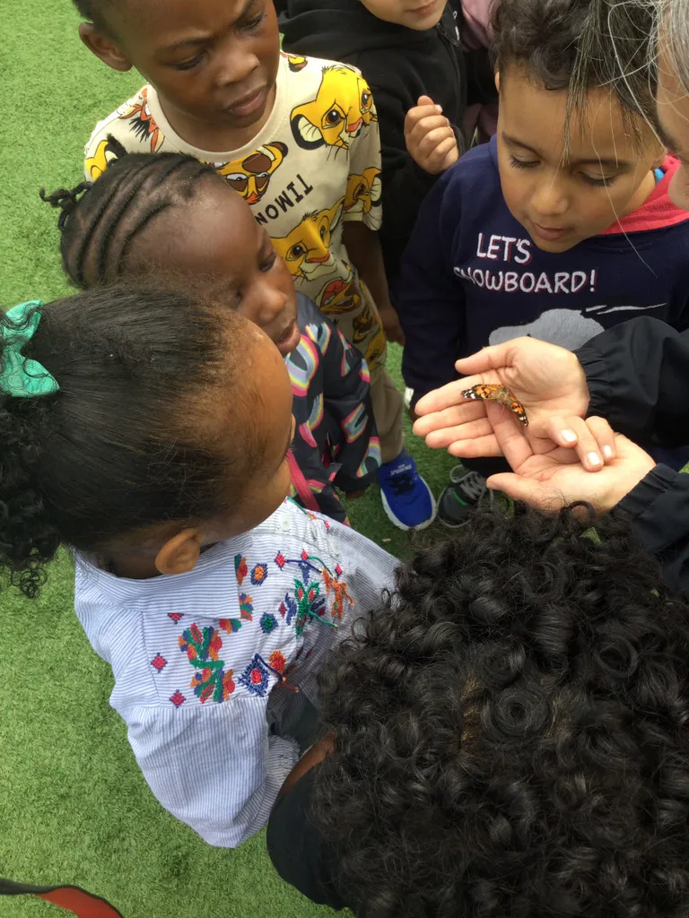 Life Cycles - image 15