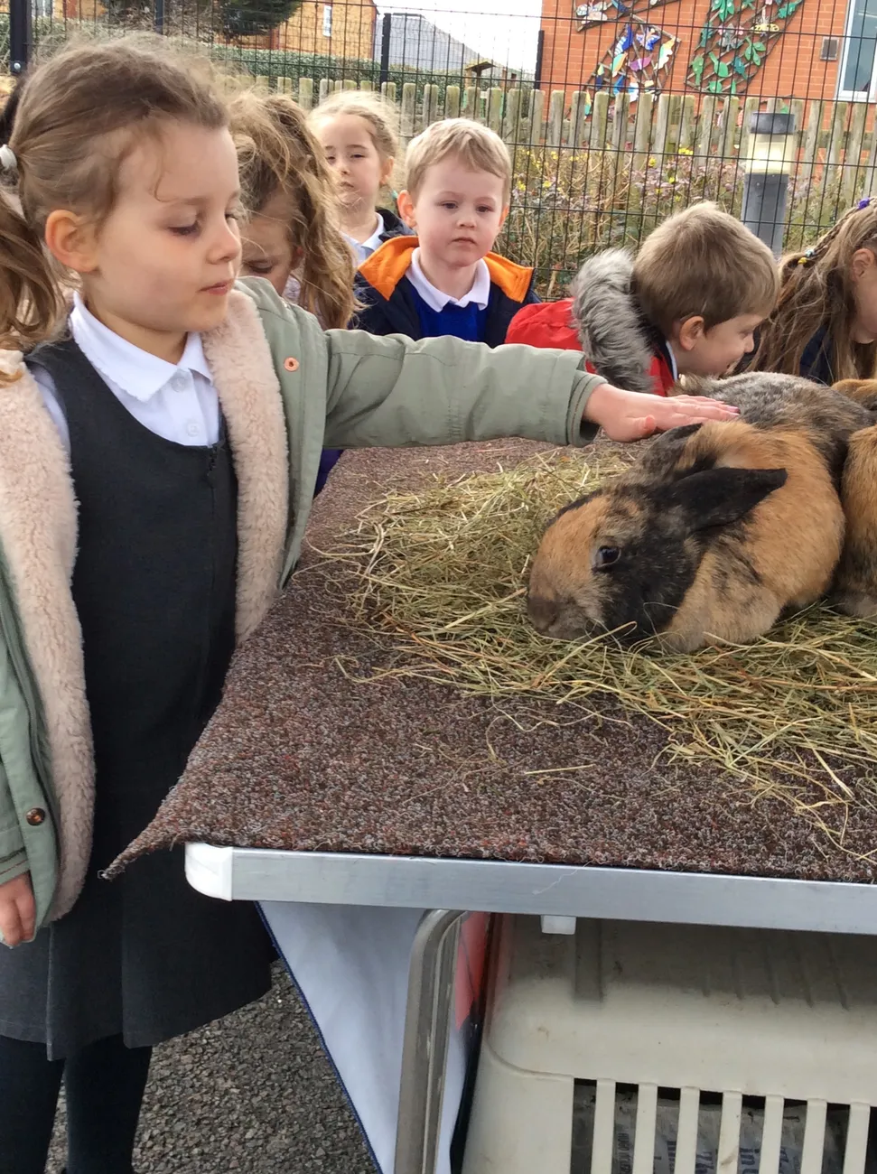 Gallery - created at 2022-03-04 13:11:52 - image 7