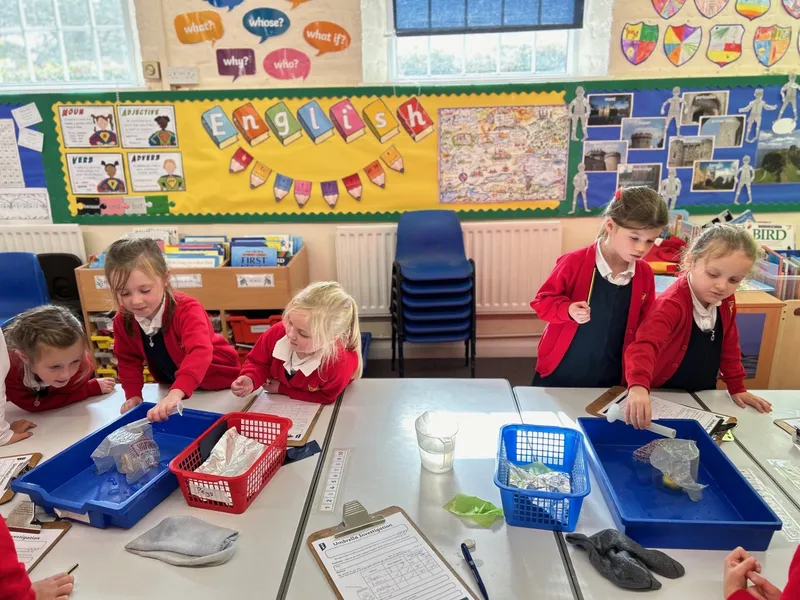 Gallery - created at 2024-10-11 11:55:18 - image 3