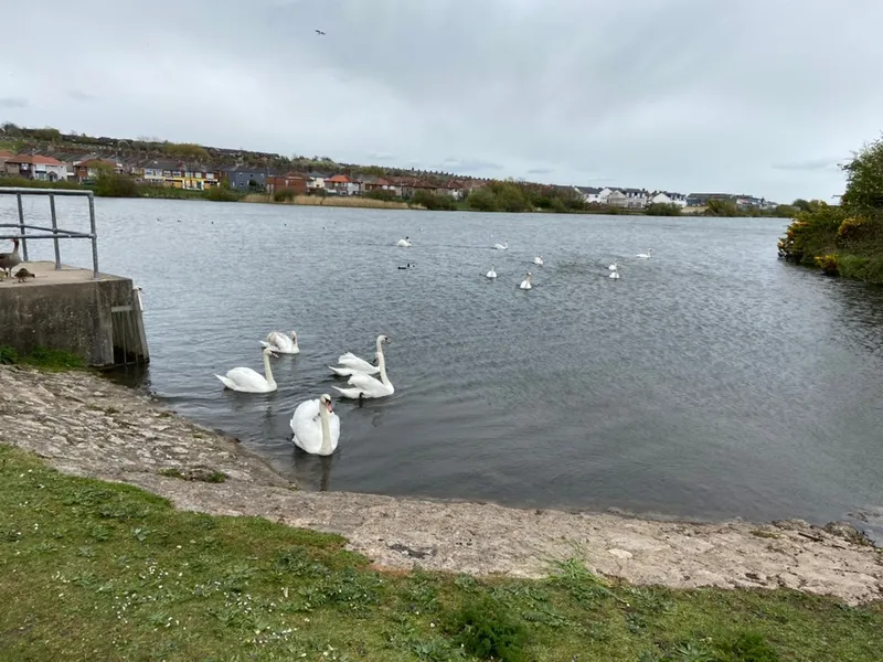 Gallery - created at 2021-05-24 14:24:17 - image 5