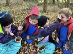 Forest School 79 - image 2 Forest School 79 - image 2