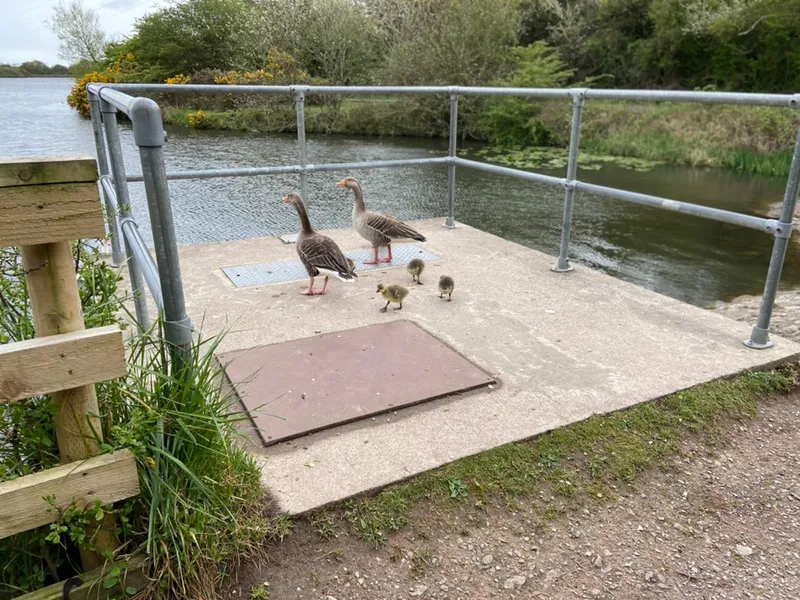 Gallery - created at 2021-05-24 14:24:17 - image 6