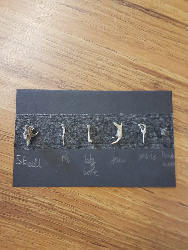 20180419_152905.jpg