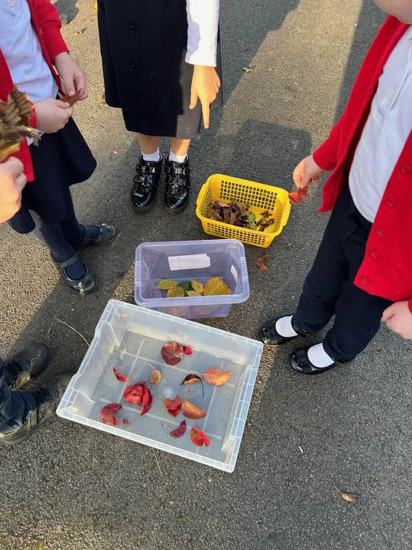 Gallery - created at 2024-11-15 12:36:22 - image 11