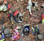 Forest School 85 - image 4 Forest School 85 - image 4