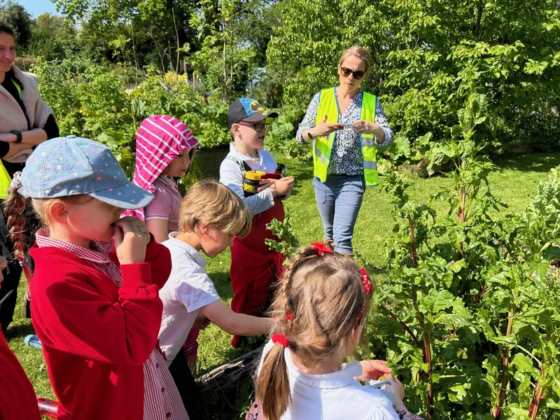 Gallery - created at 2024-05-10 11:40:23 - image 13