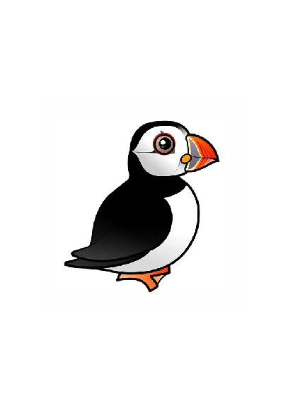 Puffin