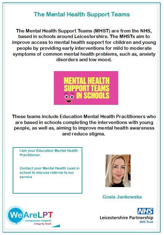 Mental Health Support Team