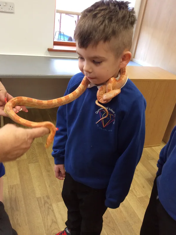 Gallery - created at 2024-02-26 17:15:57 - image 48 Gallery - created at 2024-02-26 17:15:57 - image 48