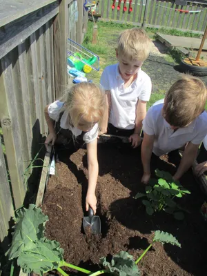 Planting - image 22