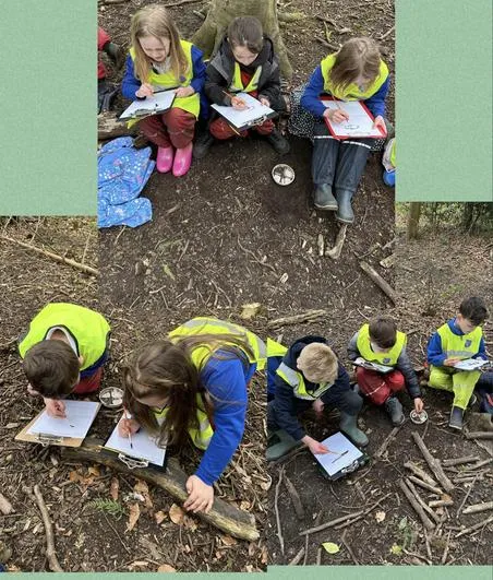 Summer 2023 - April 26th - Saplings - Living Things and Their Habitats (vertebrates and Invertebrates) - image 2 Summer 2023 - April 26th - Saplings - Living Things and Their Habitats (vertebrates and Invertebrates) - image 2