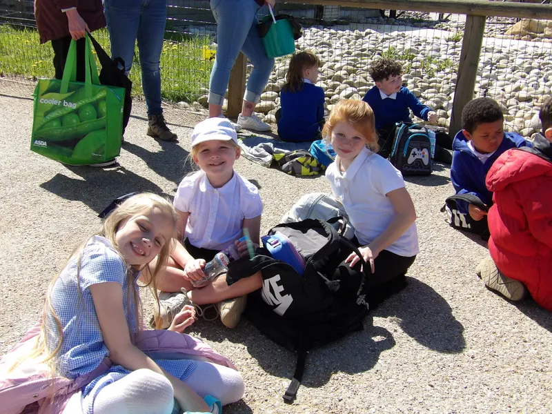 Y3 Yorkshire Wildlife Park Trip - image 16