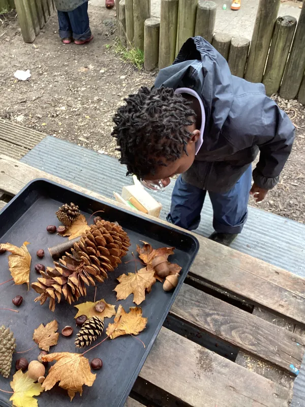 Gallery - created at 2024-10-31 07:35:31 - image 54 Gallery - created at 2024-10-31 07:35:31 - image 54