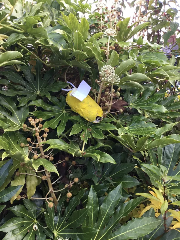 Gallery - created at 2019-11-06 20:19:44 - image 10 Gallery - created at 2019-11-06 20:19:44 - image 10