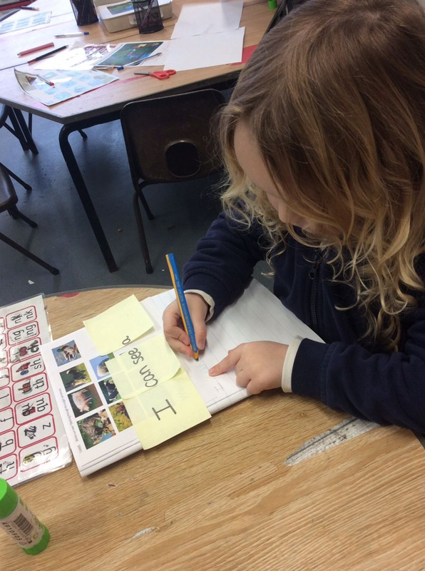 Newsletters