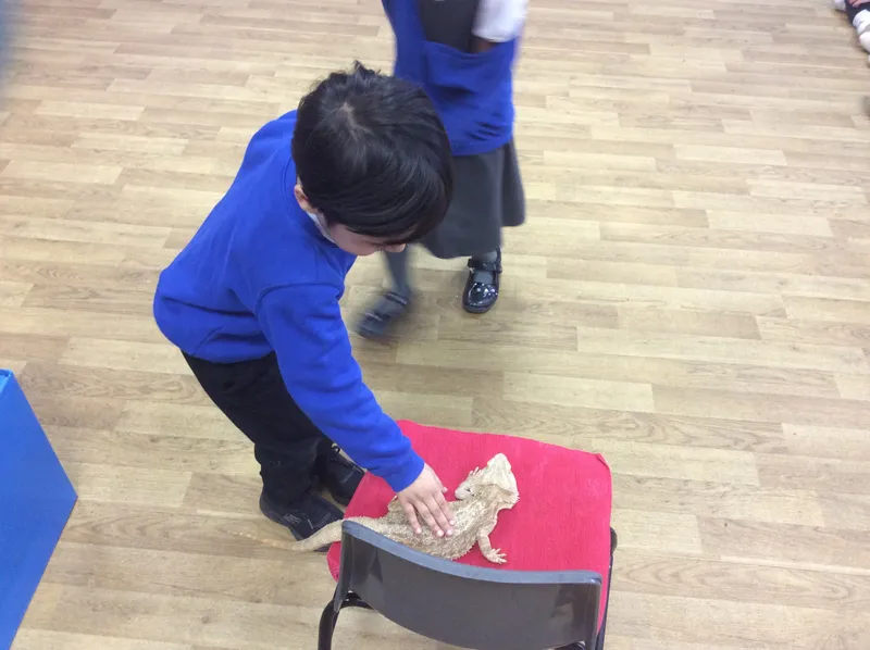 Gallery - created at 2024-03-05 13:52:56 - image 28 Gallery - created at 2024-03-05 13:52:56 - image 28