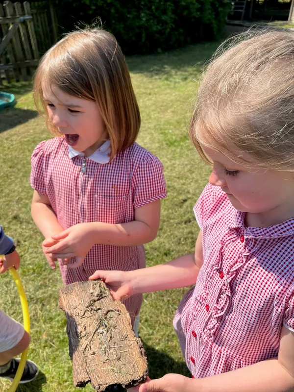 Gallery - created at 2023-06-09 12:14:52 - image 10