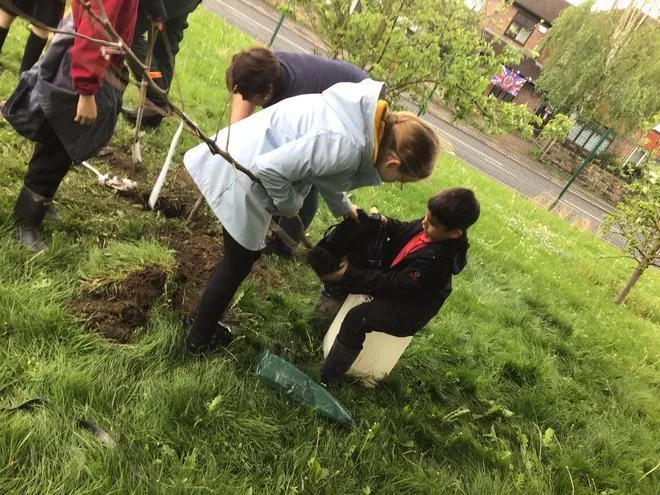 Gallery - created at 2024-12-05 13:35:53 - image 3 Gallery - created at 2024-12-05 13:35:53 - image 3