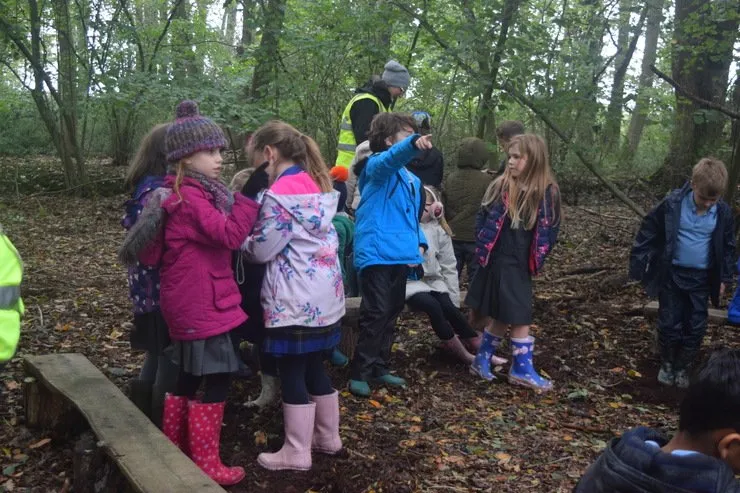 Gallery 6 - image 26