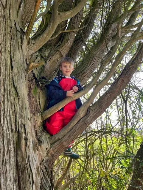 Gallery - created at 2022-10-10 18:05:29 - image 8