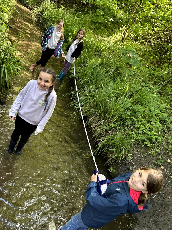 Drews Pond Woods - image 27