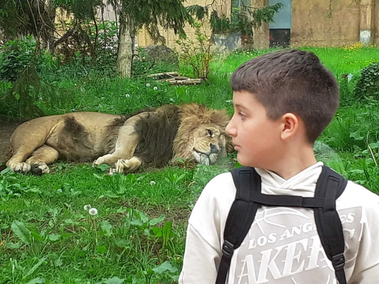 Gallery - created at 2024-06-06 15:11:55 - image 5