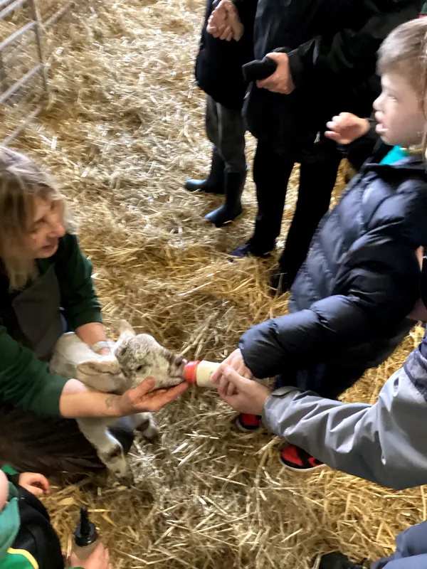 Yellow Class Trip to Woolmers' Farm 2026 - image 7