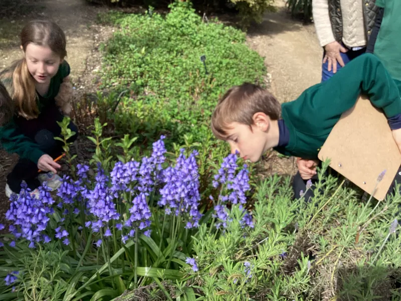 LKS2 Botanical Gardens Trip - image 7