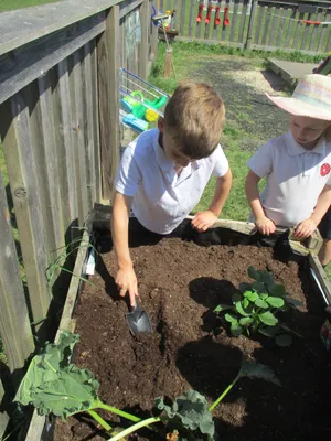 Planting - image 3