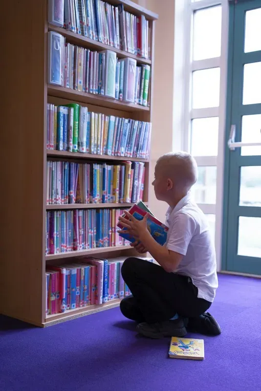 Libraries - image 5 Libraries - image 5