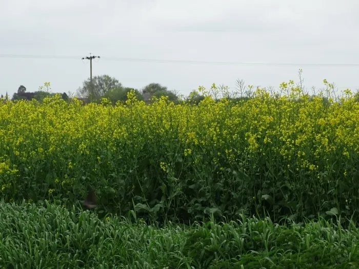 Gallery - created at 2018-07-14 14:57:47 - image 33 Gallery - created at 2018-07-14 14:57:47 - image 33