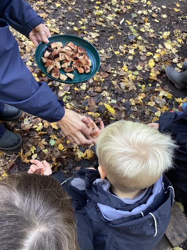 cooking sausages 25 - image 4 cooking sausages 25 - image 4