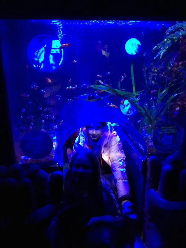 Year 5 Sealife Centre  - image 53